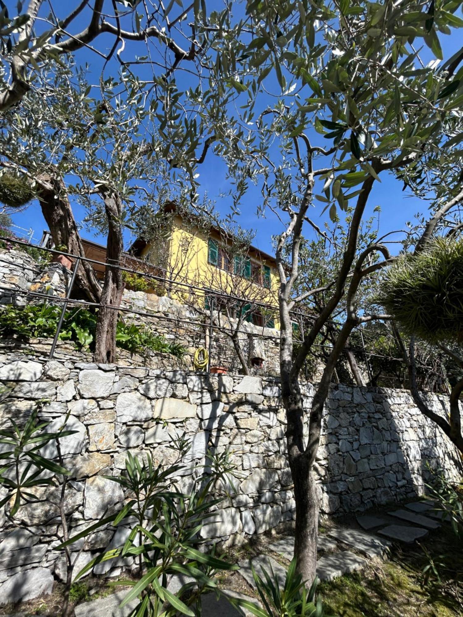 L'Alcova Tra Gli Ulivi By Portofinovacanze Цоальї Екстер'єр фото